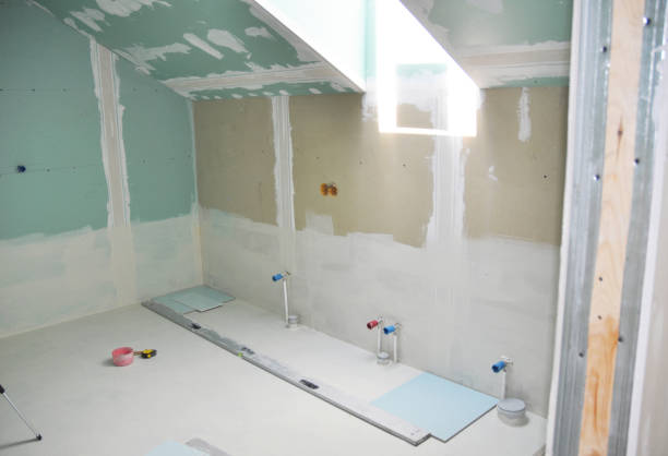 Best Air Quality Testing for Mold Spores  in Albert Lea, MN