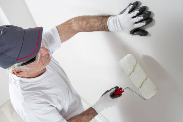 Best HVAC Mold Inspection and Cleaning  in Albert Lea, MN