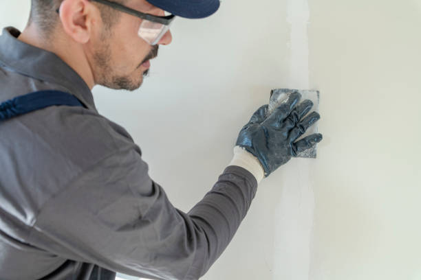 Albert Lea, MN Mold Removal Company