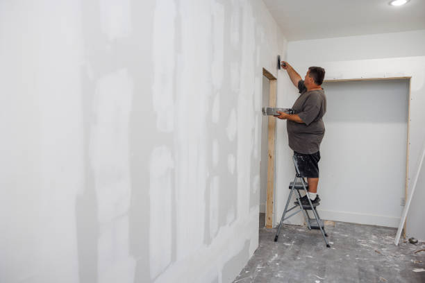 Best Crawl Space Mold Remediation  in Albert Lea, MN
