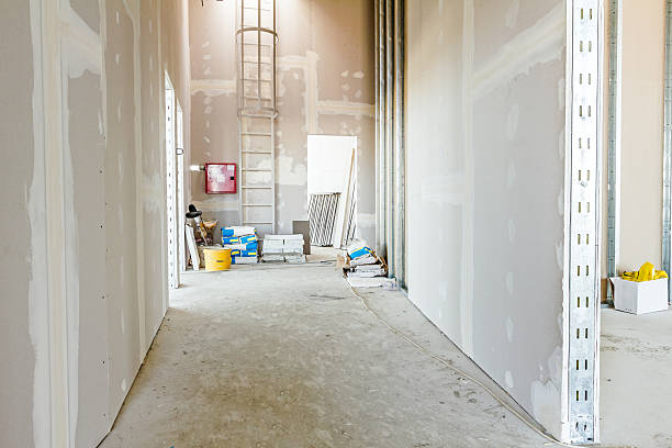Best Basement Mold Removal  in Albert Lea, MN